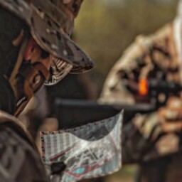 inbound5209433481835835776