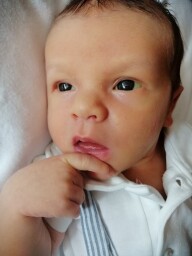 IMG-f4e133e7aadfc636749b3babfcaa855f-V