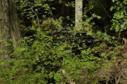 5301563F-8D25-4734-A7AC-DCEB4022A293