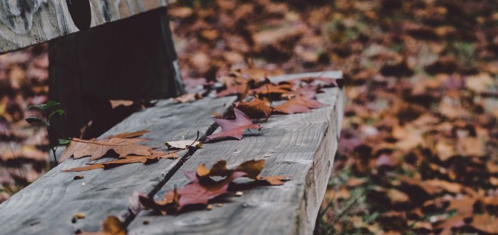 thanksgiving poem