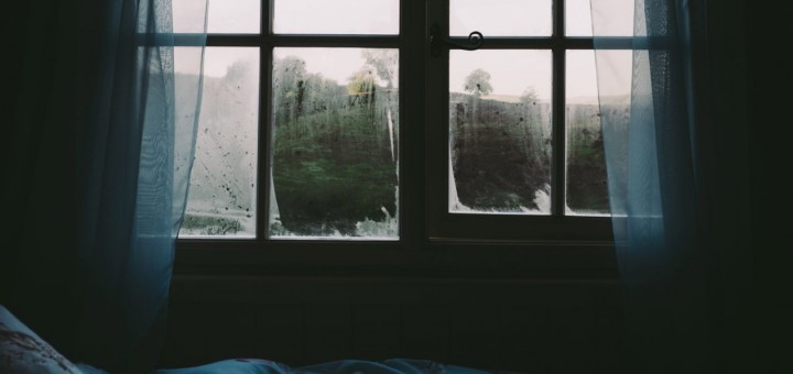 morning poems