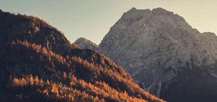 fall poetry