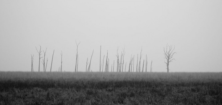 capture poem