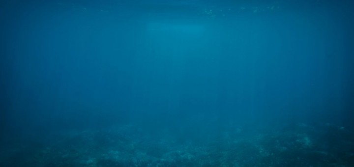 giant squid stories