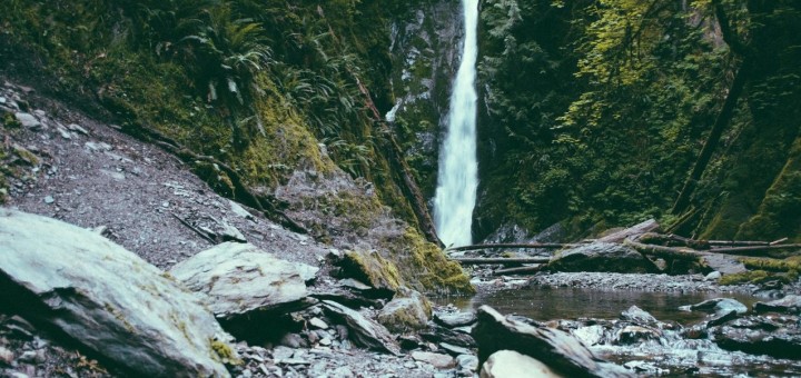 nature haibun