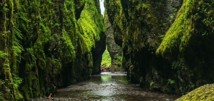 nature poem