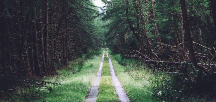 online serial fiction