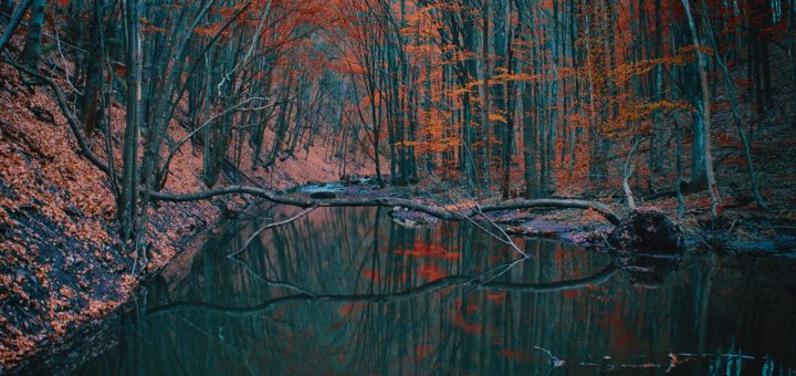 contemplative poem