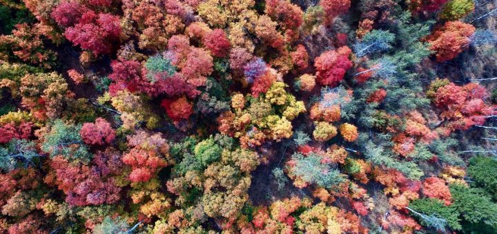 poem about the earth