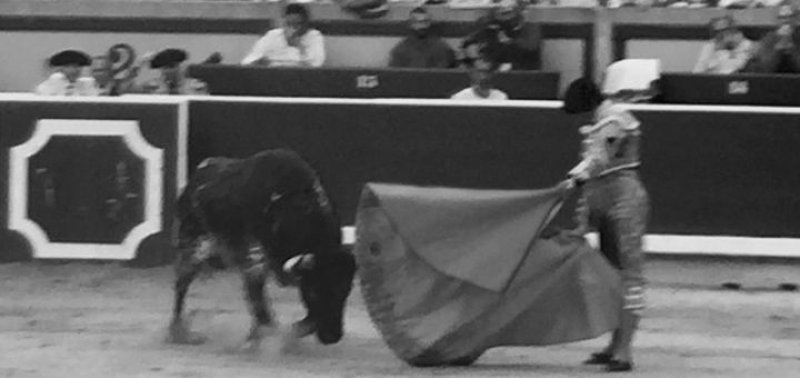 bullfighting in navarra