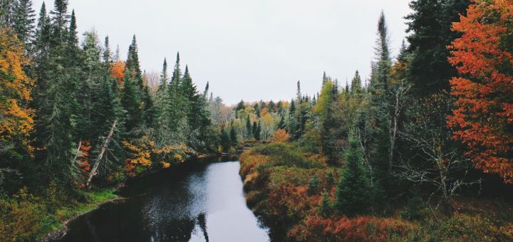 poems about unlikely friends