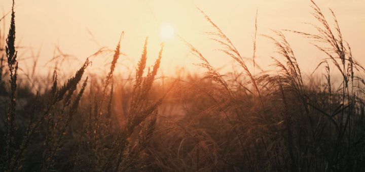 sunrise haibun