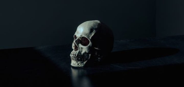 skull