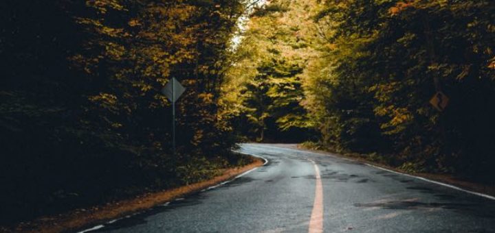 wet road in forest
