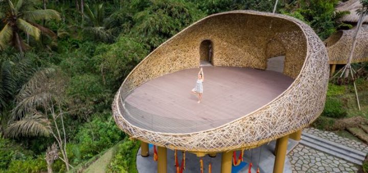 a girl doing a yoga tree pose in a jungle retreat