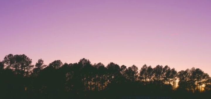 purple dawn over a tree line with a house