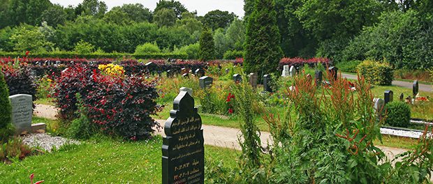 Friedhof Hamburg 2