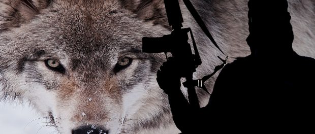 lone-wolf-terrorists1
