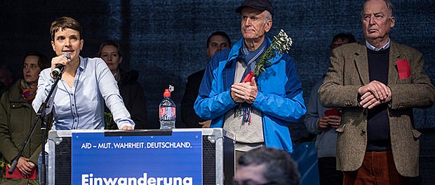 AfD-BT-Wahl1