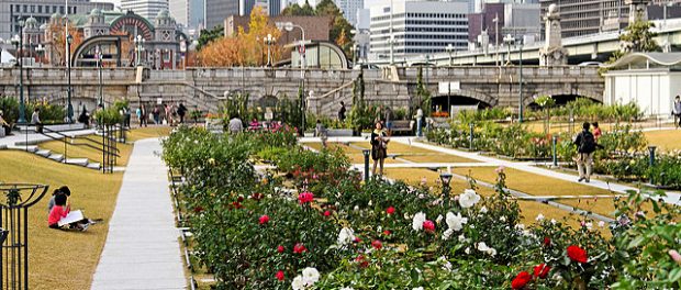 Rosengarten1