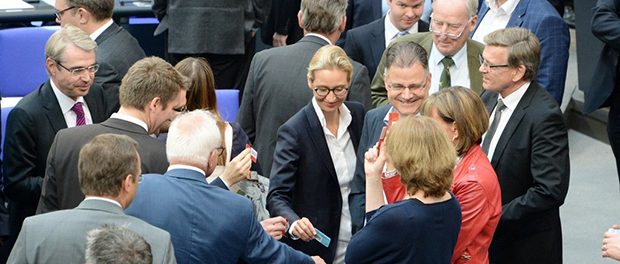 AfD1