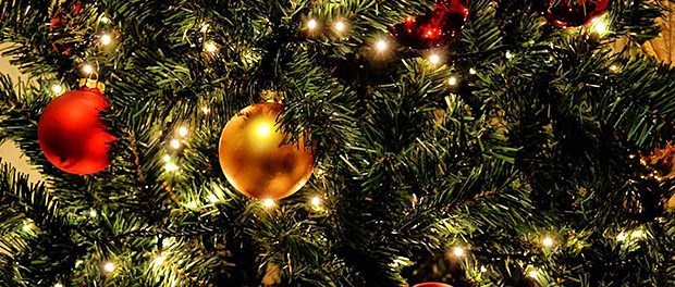 Weihnachtsbaum-1