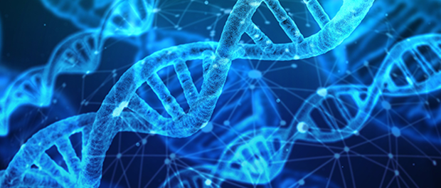 dna-3539309_19201