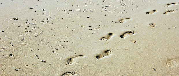 Footprints Sun Traces Sand Tracks In The Sand