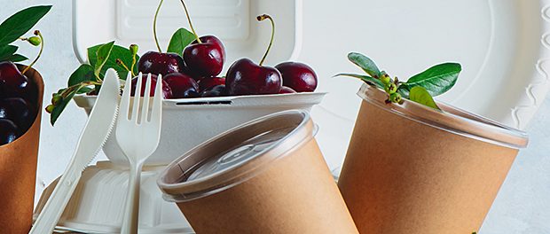 Catering disposables, cups, plates and containers with cherries. Eco-friendly food packaging on a neutral gray background with copy space. Preserving nature and recycling concept.