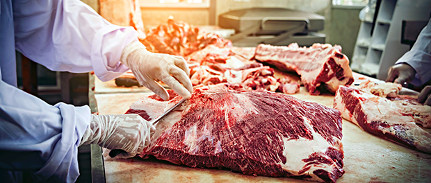 Schlachte-Halal-Halalfleisch-Belgien-Verbot-Muslime-Juden