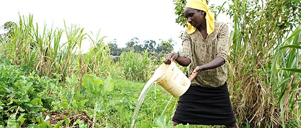 Landwirtschaft-Frauen-Business-Selbstständigkeit-Kleinunternehmen-Empowerment-Feldarbeit-Erfolg-Tansania
