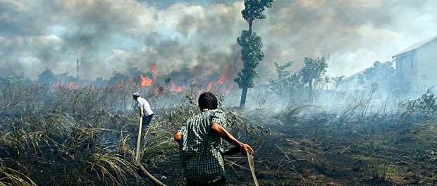 Malaysia-Indonesien-Regenwald-Walfbrand-Ökologie-Proteste