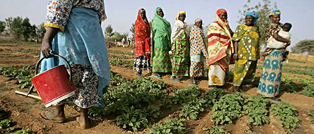 Mali-Hunger-Welthungerhilfe-FAO-Interview-Ressourcen-Landwirtschaft