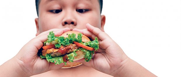 pork hamburger on obese fat boy hand background isolated