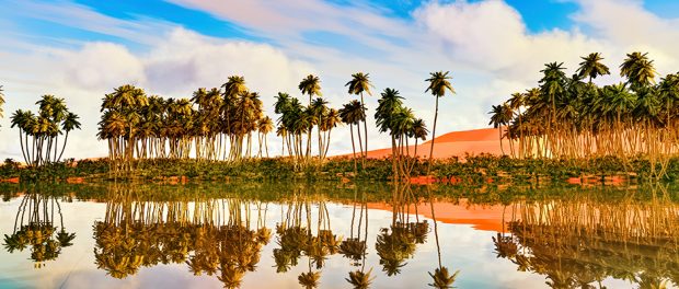 Ägypten-Nil-Wasser-Symbolik-Wüste-Palmen
