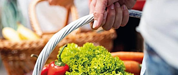 Fudul-Nachbarschaftshilfe-Einkaufshilfe-Einkaufskorb