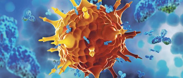 Virus unter Attacke von Antikörpern