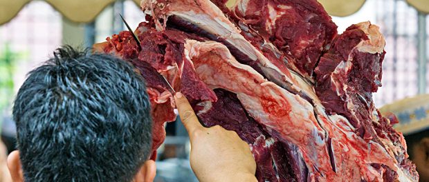 Close-up of preparation and slaughtering a cow during Muslim Eid