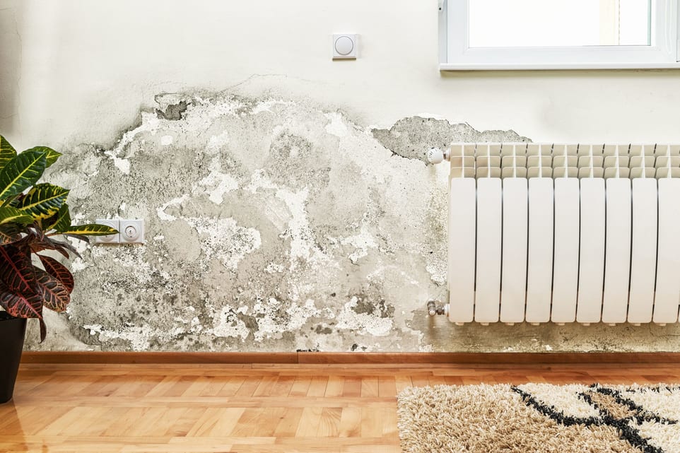 problème tache mur humidité