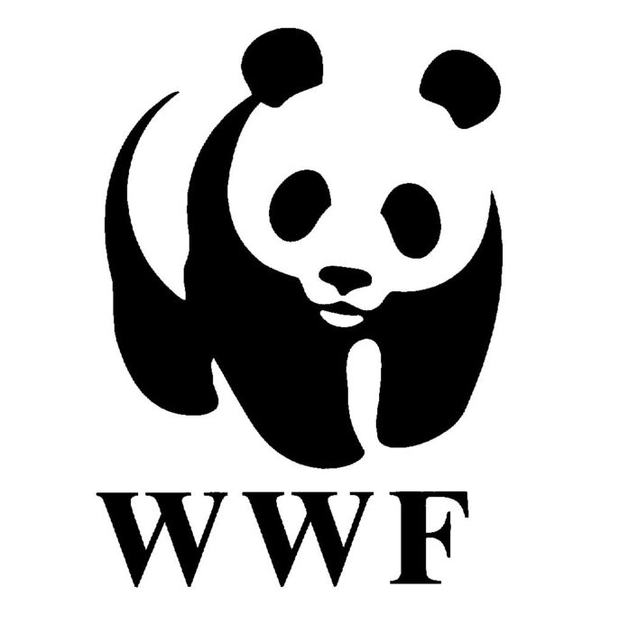wwf Intelligent Jazz JazzPeople