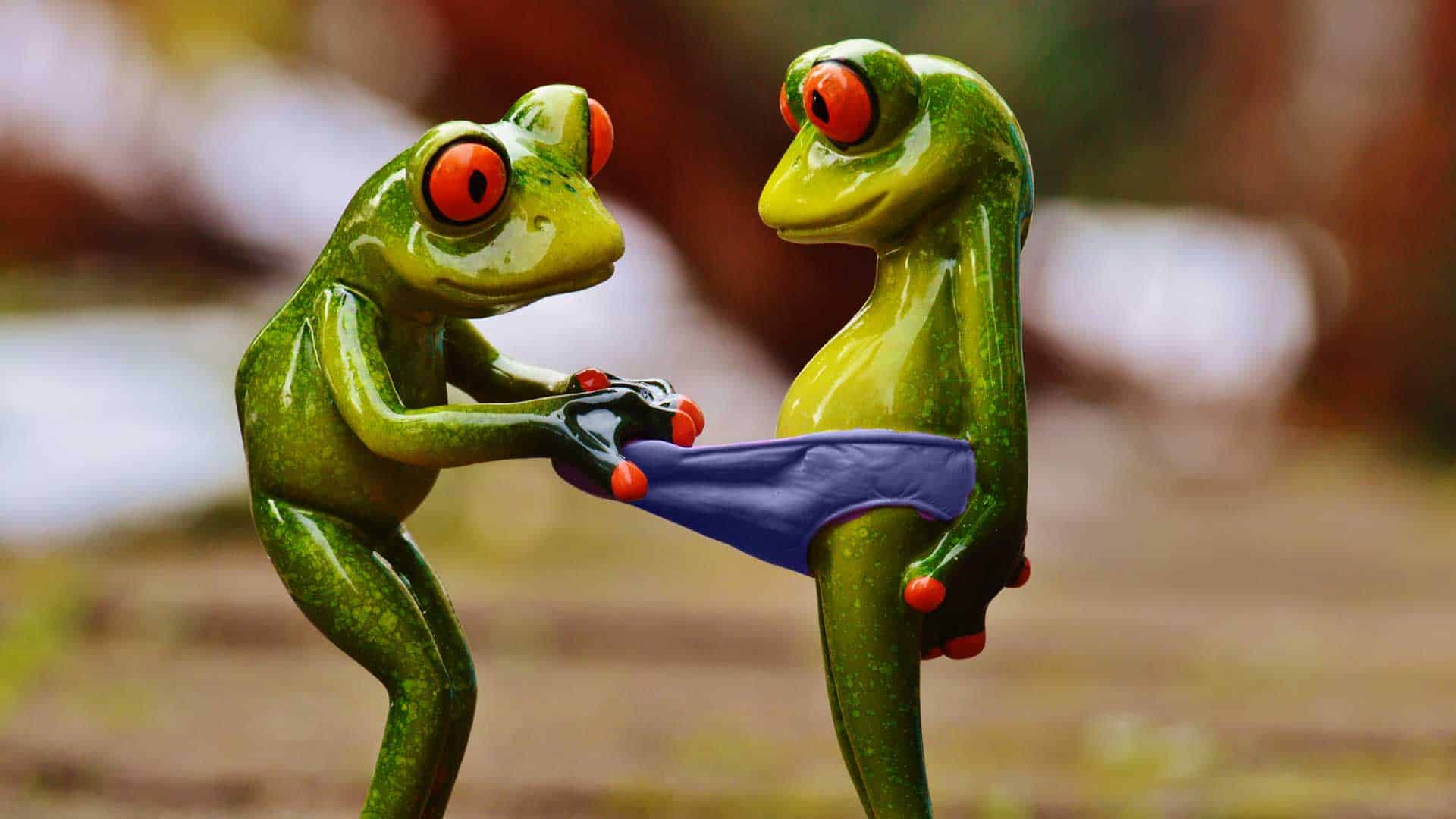 Schaam je niet en vraag me het hemd van m’n lijf 😉 Schaam je niet en vraag me het hemd van m’n lijf 😉