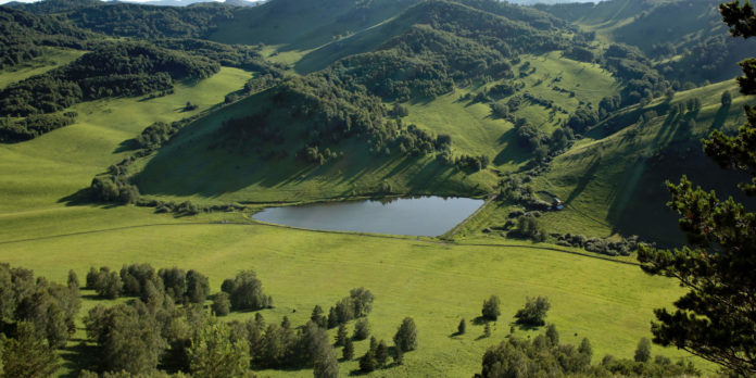 Алтайская игорная зона Altai region