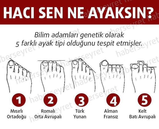 Sen ne ayaksın?