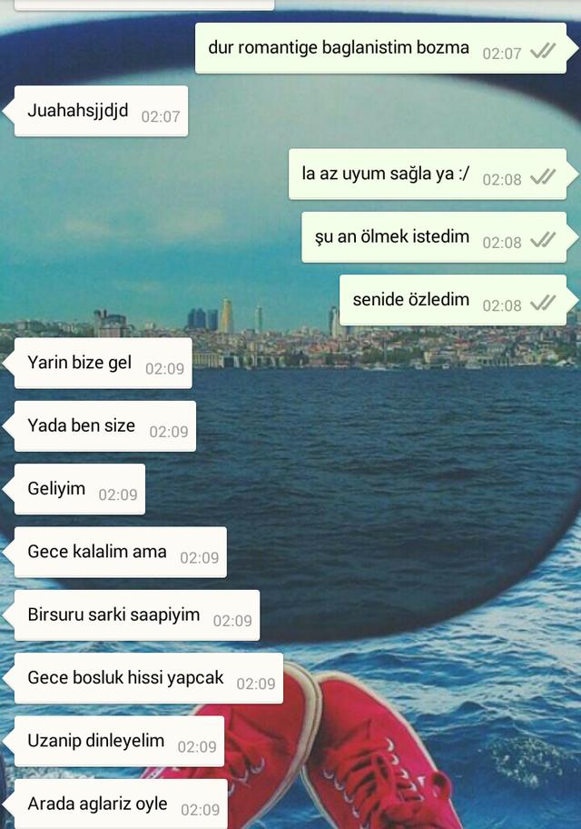 Sizce evine gitmeli miyim (resimli)?