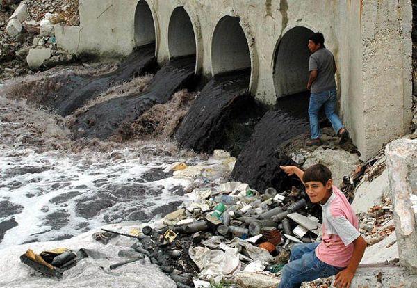 Türkiye'de Çevre Bakanı Olsaydınız Ne Gibi Çalışmalar Yapar,Projeler Üretirdiniz? 