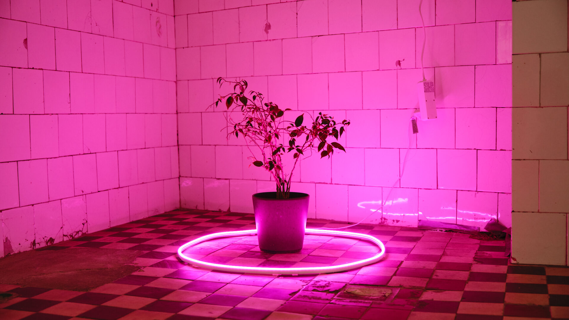 MŰVÉSZETI SZABADEGYETEM INDUL A VÍZIVÁROSI GALÉRIÁBAN