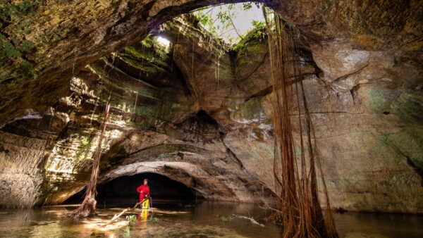 Amazónia – barlangok az esőerdő mélyén – 3D vetítés