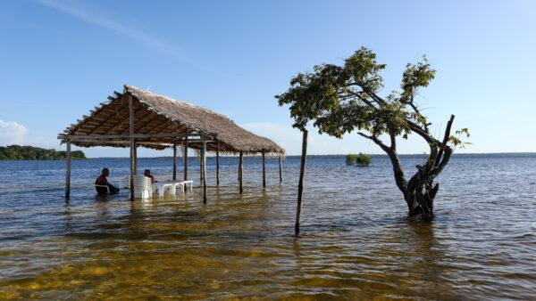 Amazónia – barlangok az esőerdő mélyén – 3D vetítés