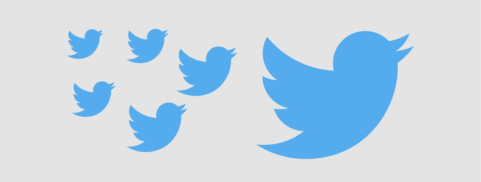 Use Twitter Ads to Gain Exposure and Twitter Followers