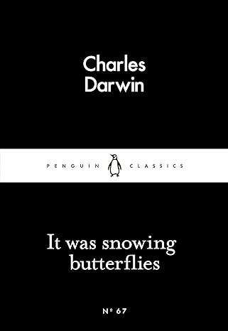 It Was Snowing Butterflies